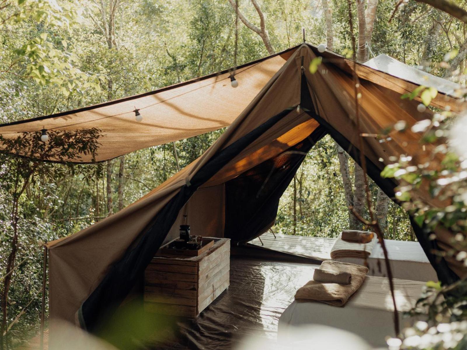 Firefly Falls Plettenberg Bay Dış mekan fotoğraf